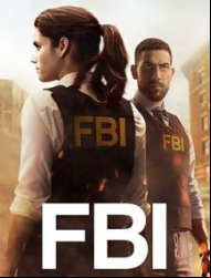 F.B.I. SAISON 1