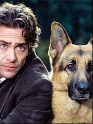 Rex, chien flic SAISON 12